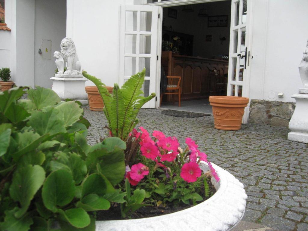 Pension Sejko Horni Plana Quarto foto